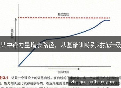 某中锋力量增长路径，从基础训练到对抗升级